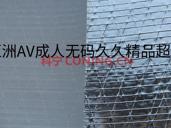 亚洲AV成人无码久久精品超碰